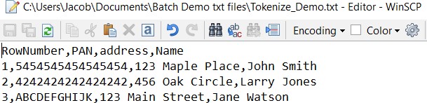 MFT File Example #3 — Example of a File to be Tokenized